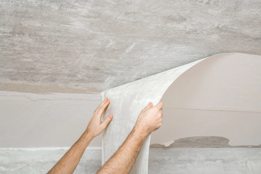 Premium Wallpaper Removal Tallahassee, FL