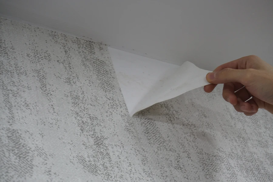 Reputable Wallpaper Removal Tallahassee, FL